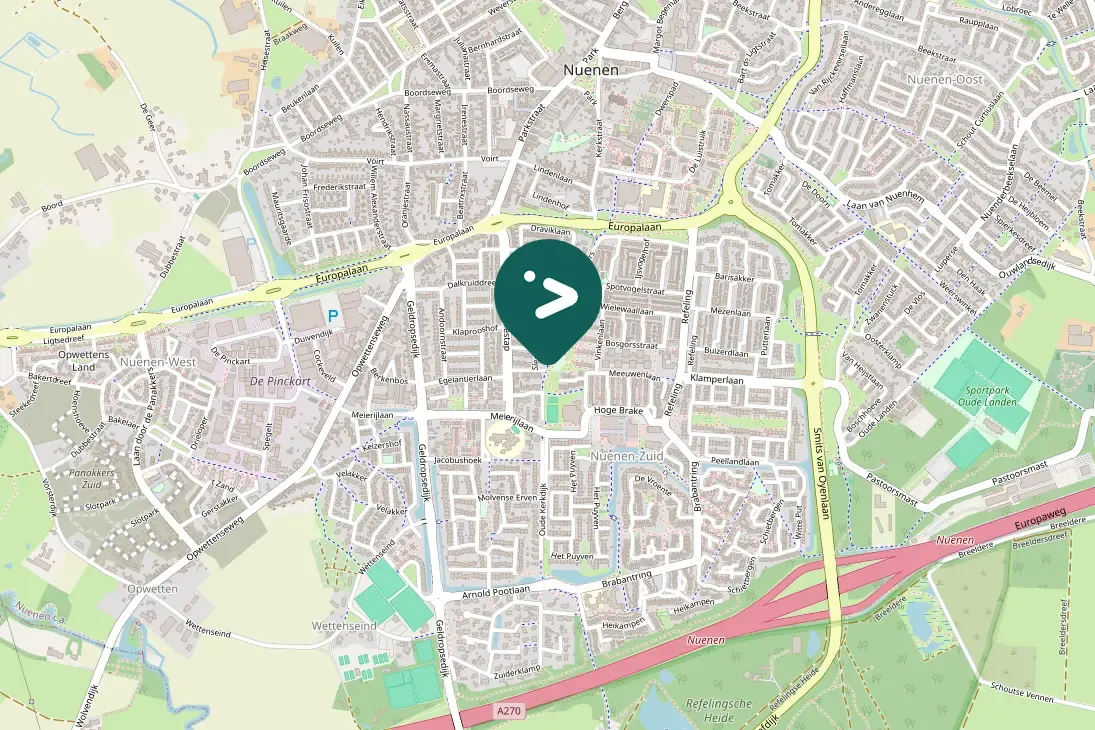 Spotted Eurasian Magpie