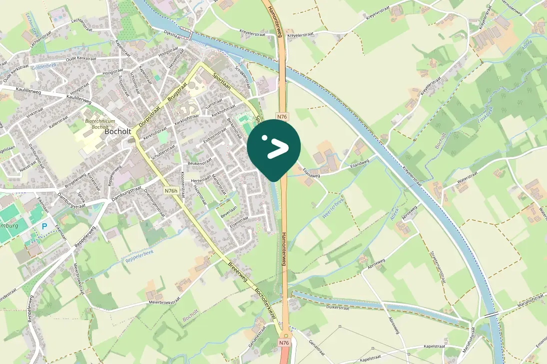 Spotted Eurasian Coot