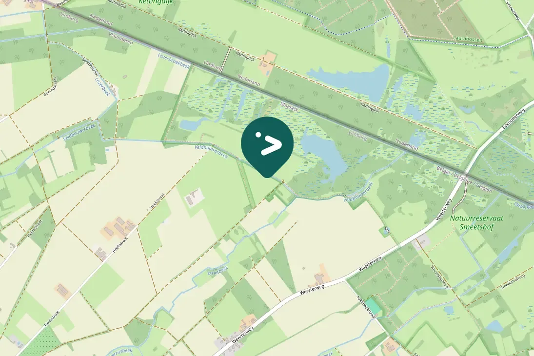 Spotted Greater White-fronted Goose