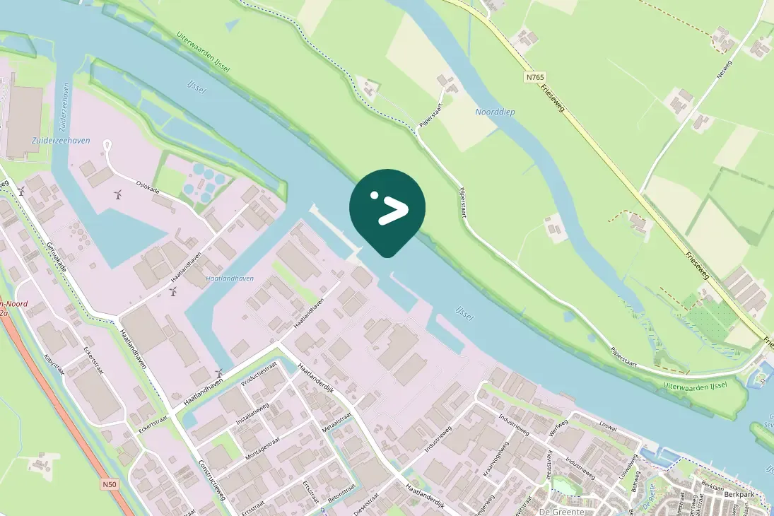 Spotted Black-headed Gull