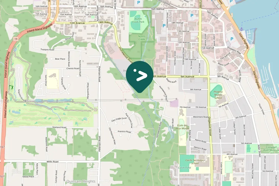 Spotted American Robin