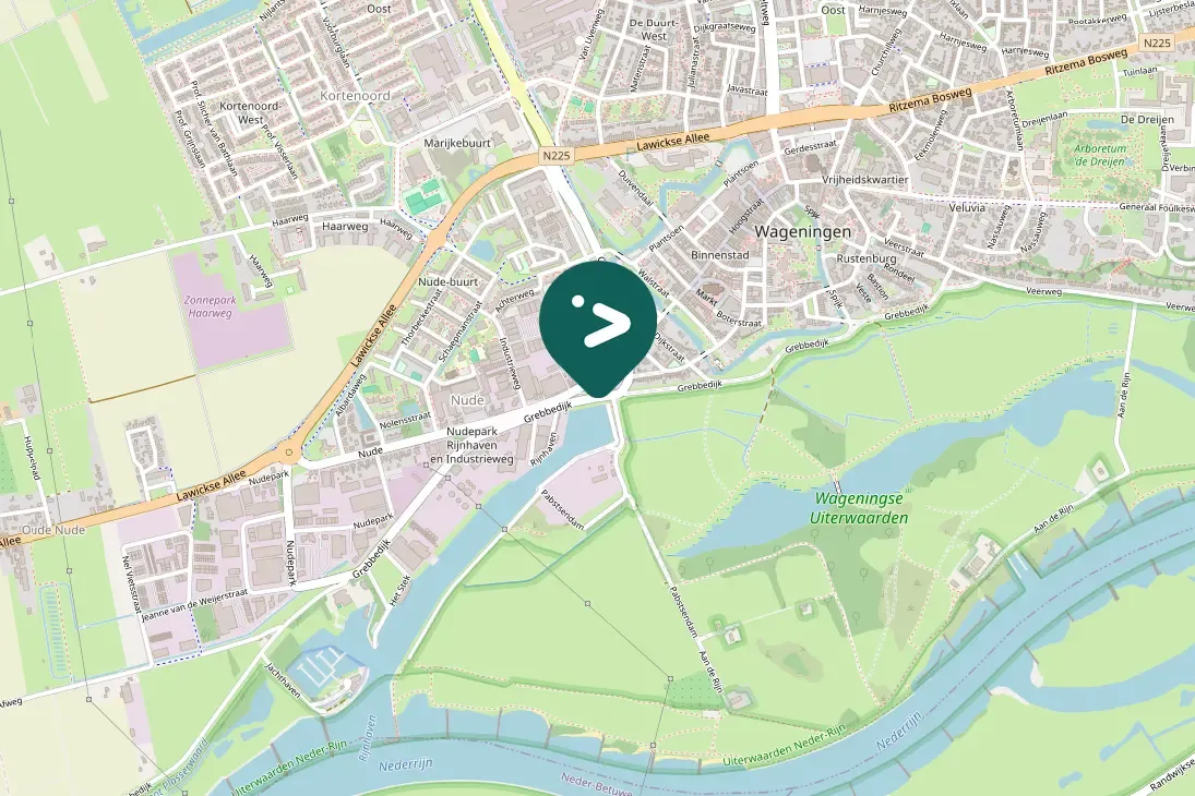 Spotted Peregrine Falcon