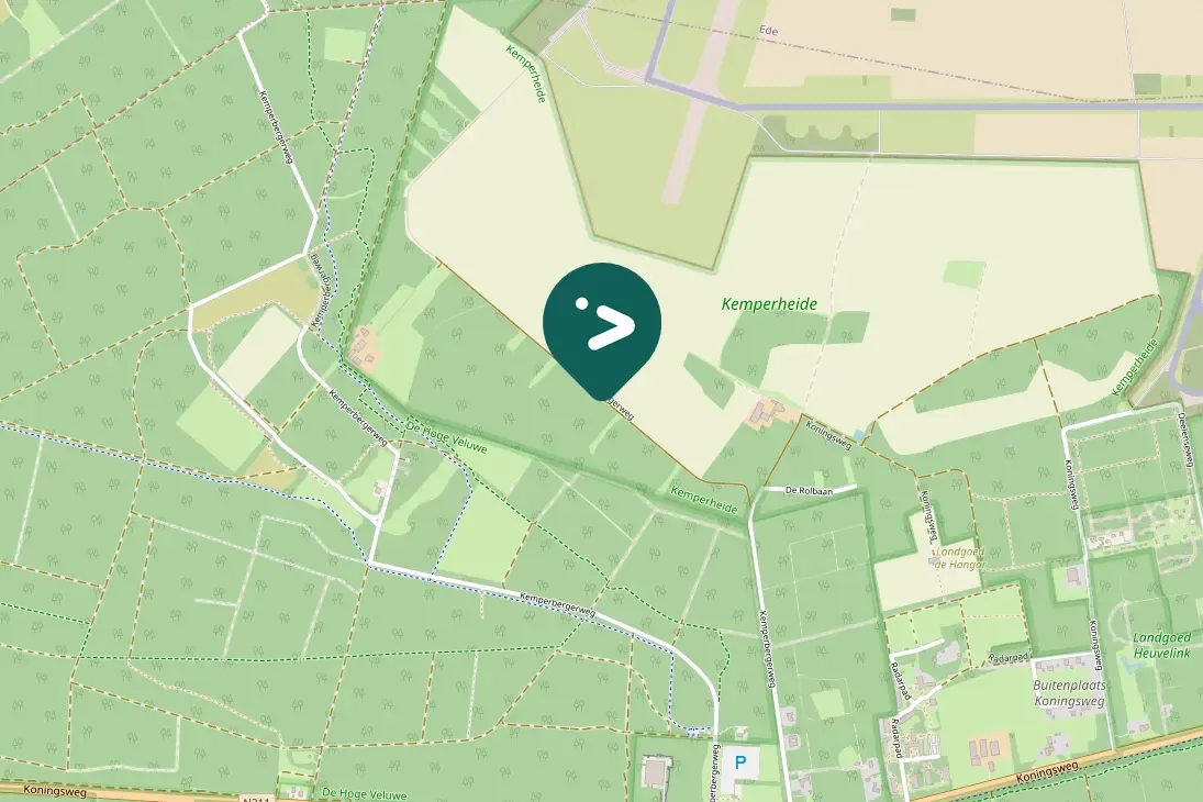 Spotted Rough-legged Hawk