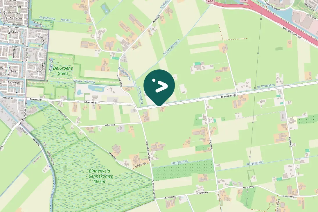 Gespotte Groene specht