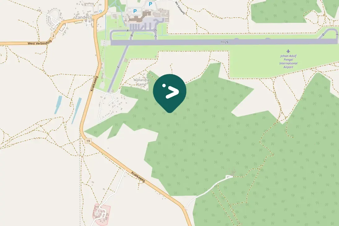 Spotted Point-tailed Palmcreeper