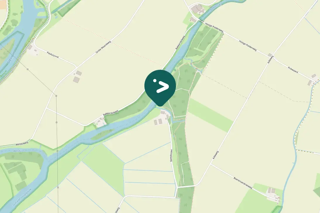 Spotted Common Buzzard