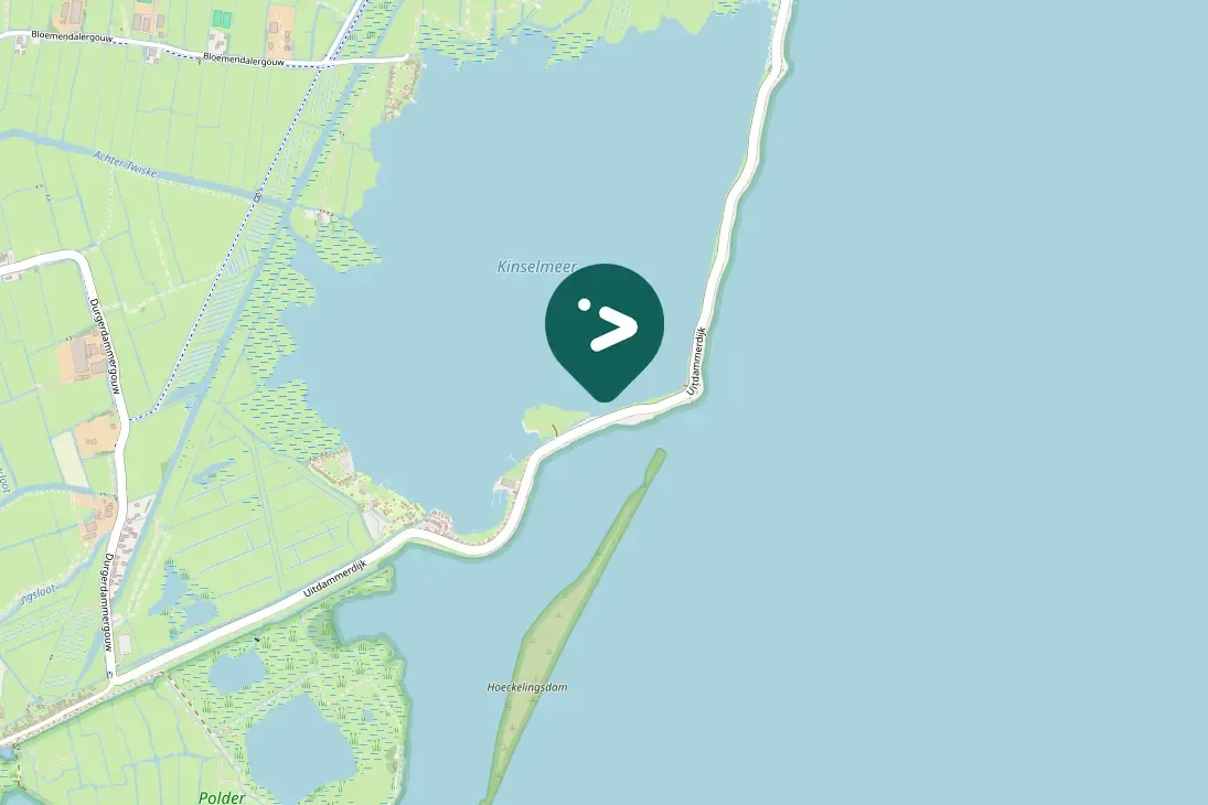 Spotted Snow Bunting