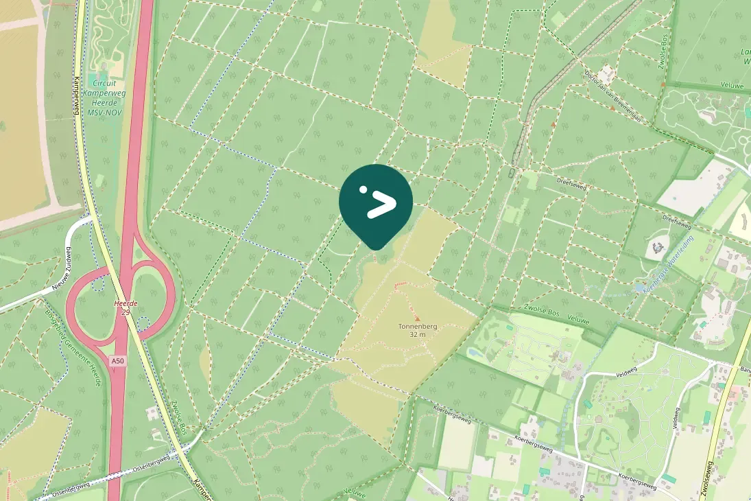 Spotted Long-tailed Tit