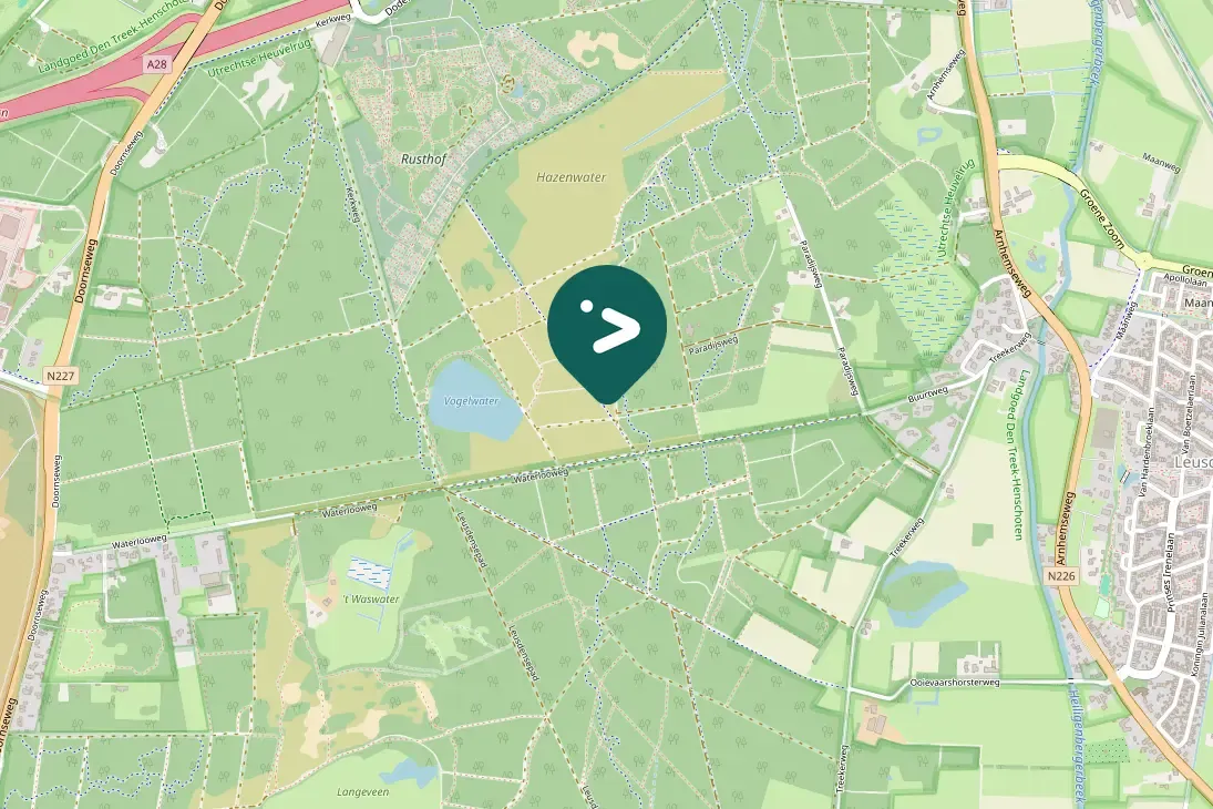 Spotted Eurasian Woodcock