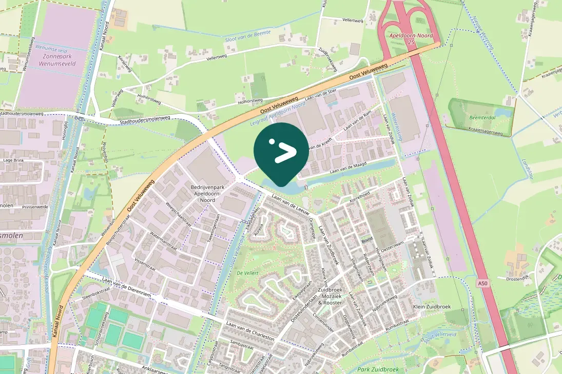 Spotted Canada Goose