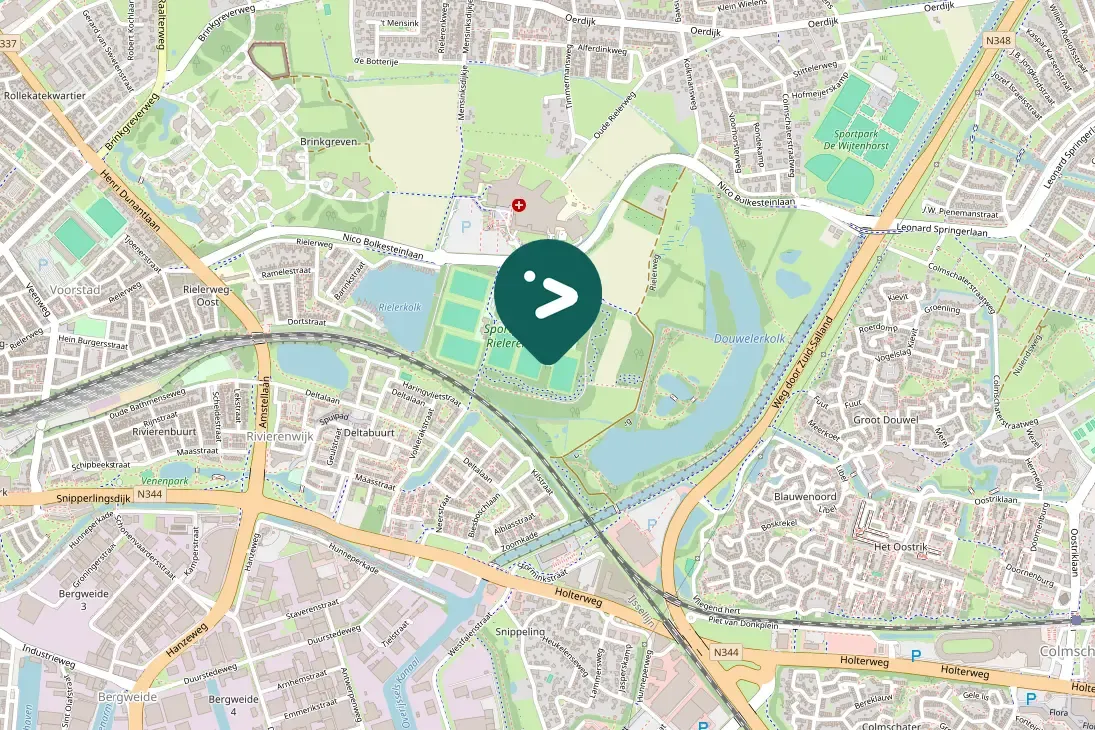 Spotted Levaillant's Woodpecker