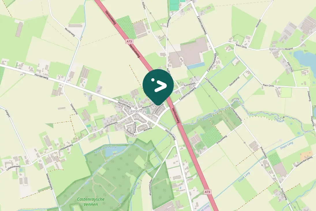 Spotted Eurasian Jackdaw