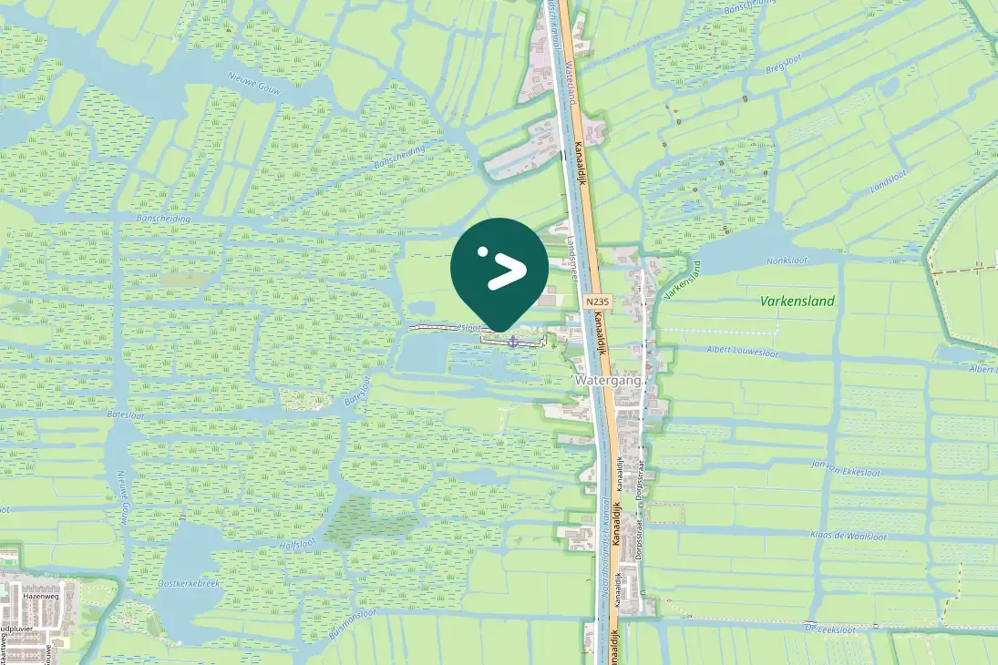 Spotted Western Marsh Harrier