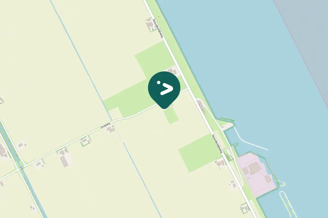 Spotted Tundra Bean-Goose