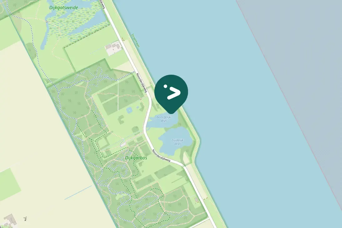 Spotted Greater Scaup