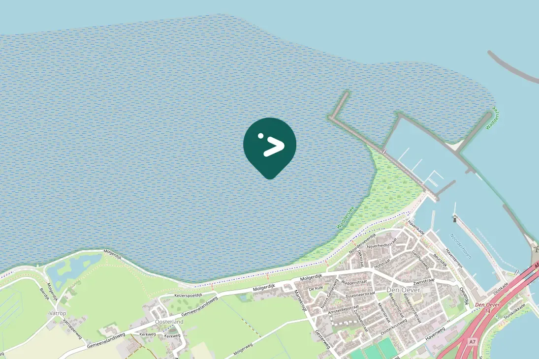 Spotted European Golden-Plover