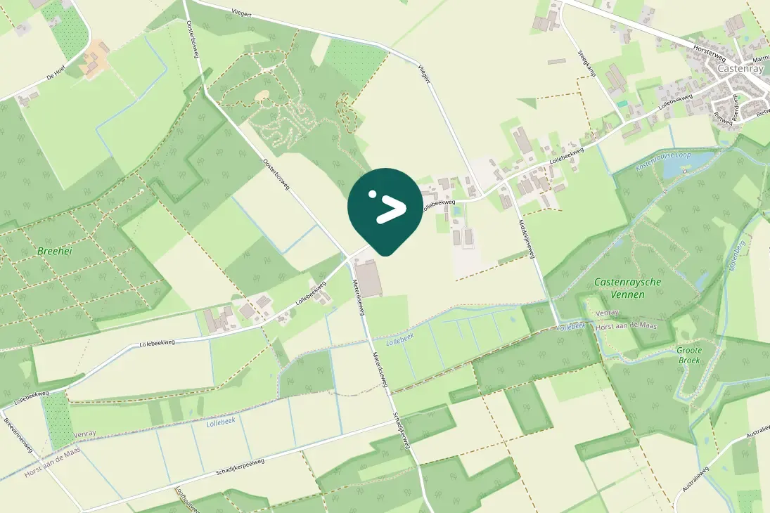 Spotted Common Buzzard