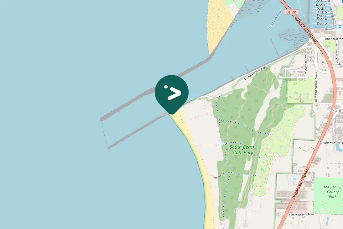 Spotted American Crow