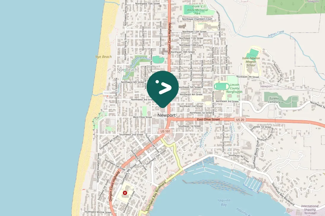 Spotted Western Gull