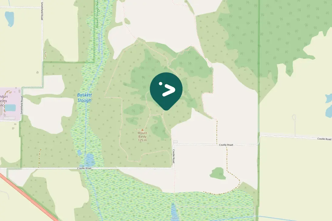 Spotted Red-winged Blackbird