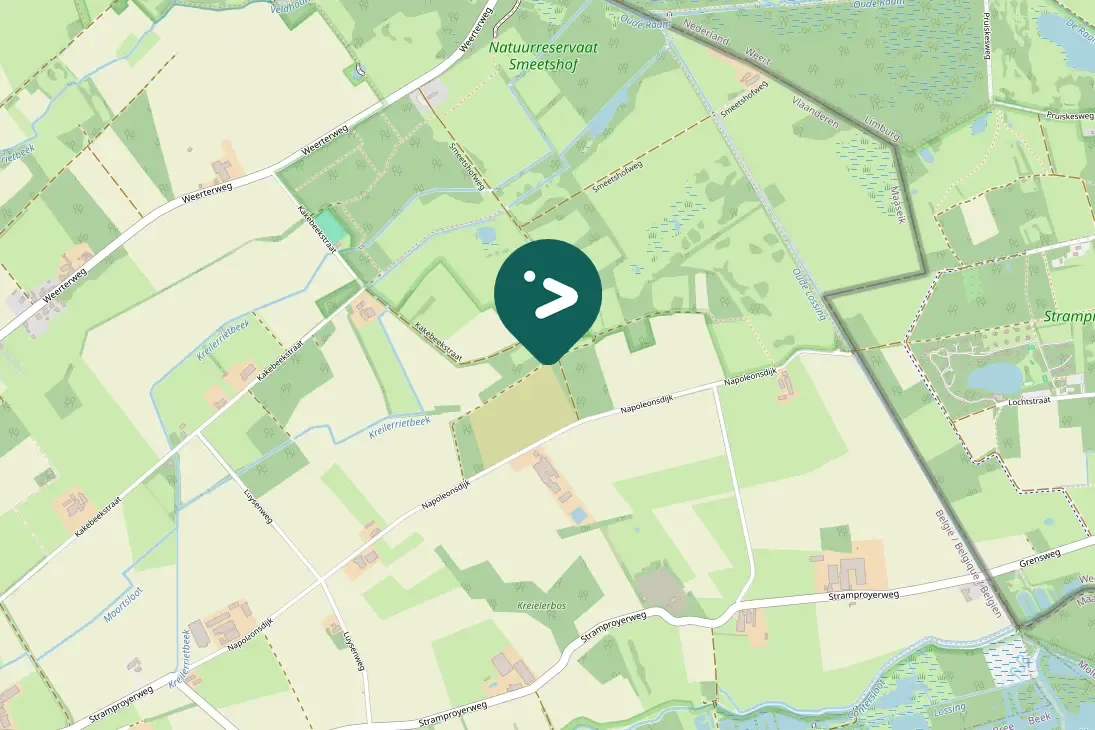 Spotted Mistle Thrush