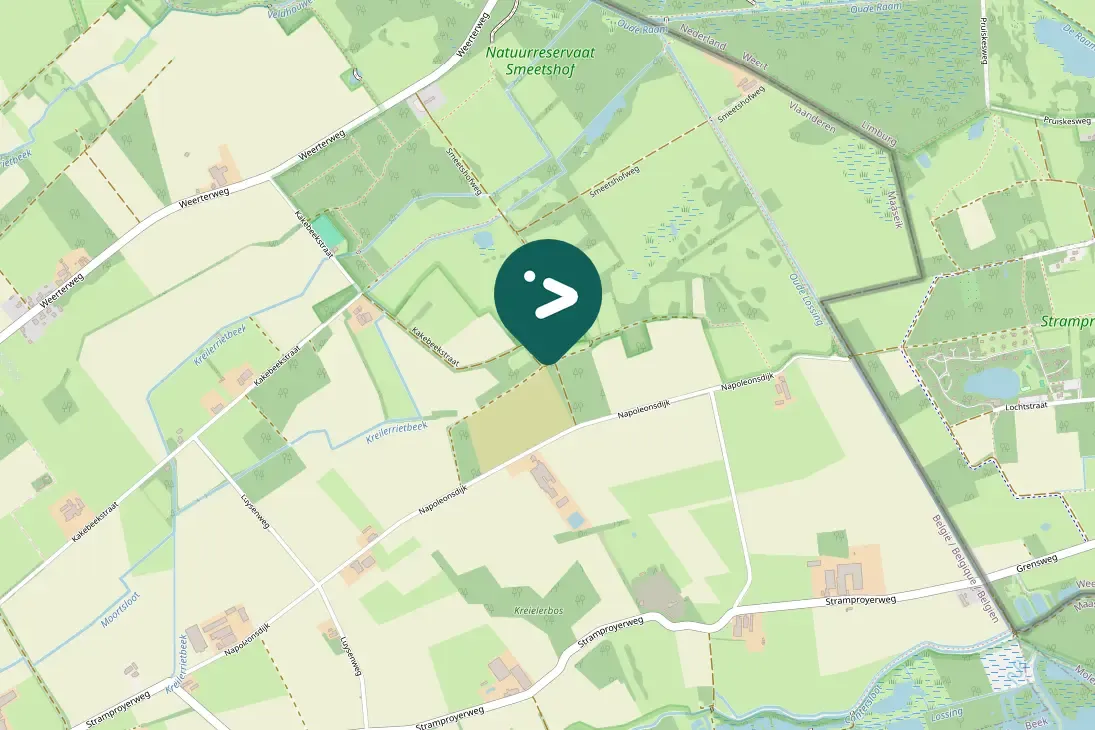 Spotted Eurasian Nuthatch