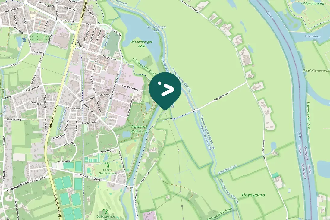 Spotted Eurasian Wigeon