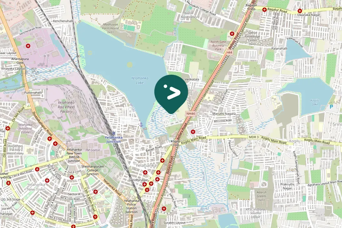 Spotted Little Swift