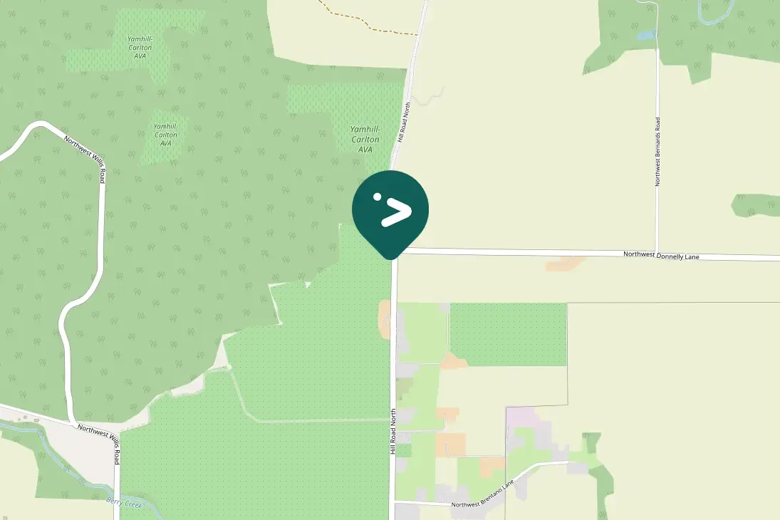 Spotted American Barn Owl