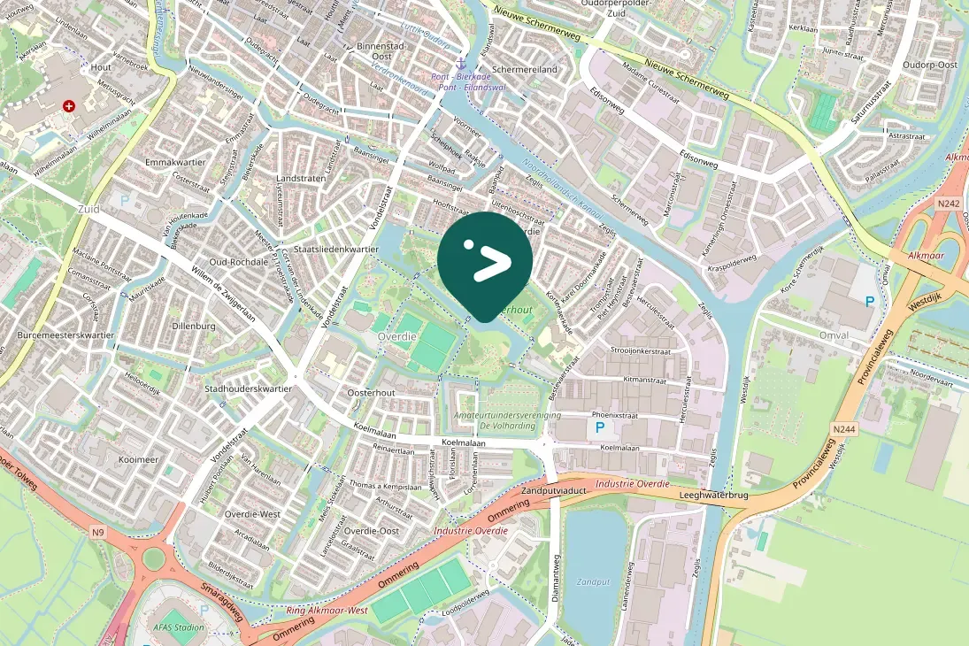 Spotted Eurasian Woodcock