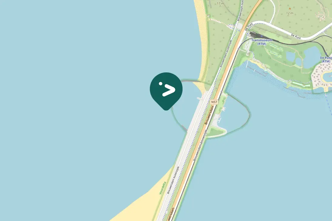 Spotted Red-throated Loon