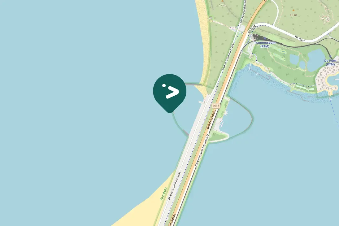 Spotted Horned Grebe