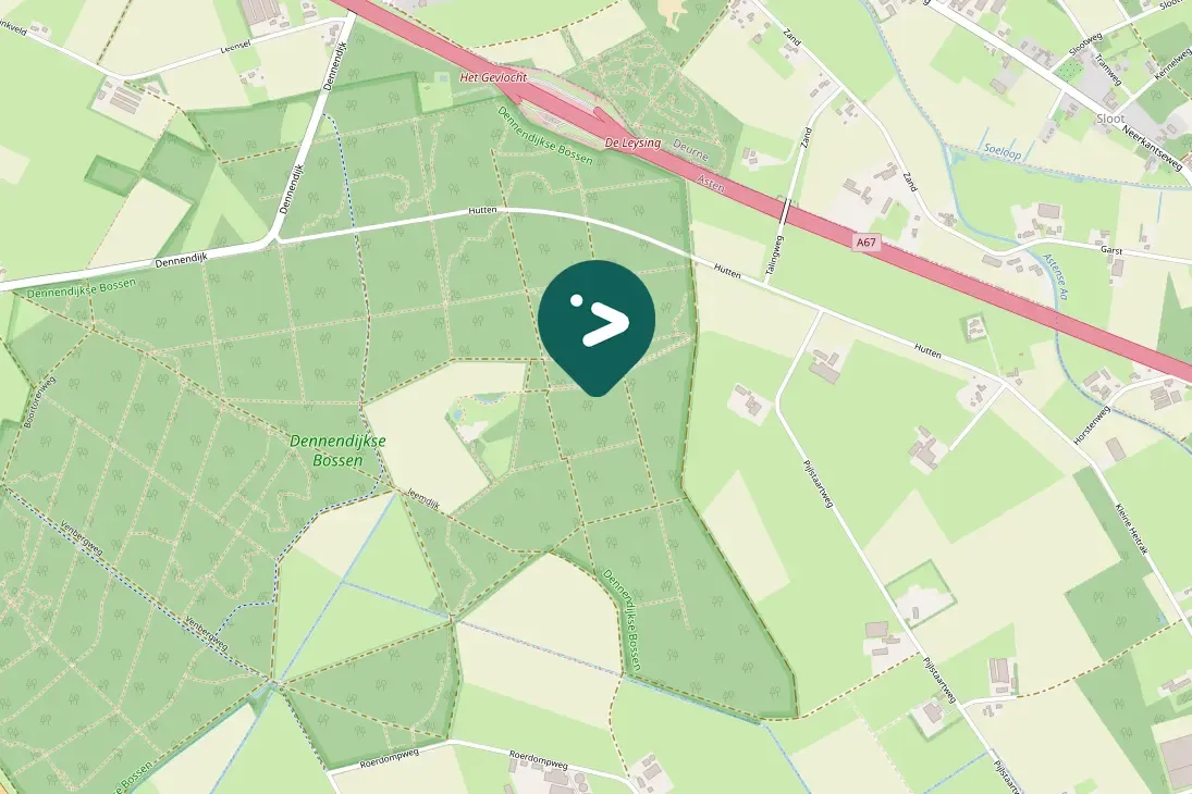 Spotted Eurasian Nuthatch