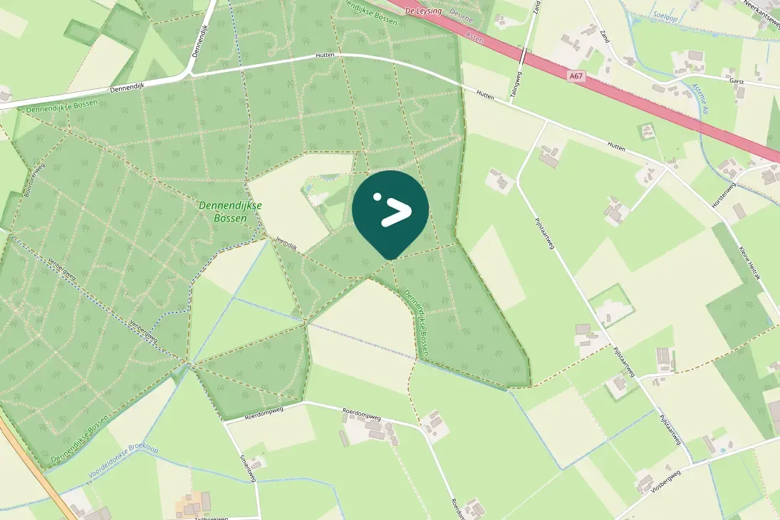 Spotted European Goldfinch