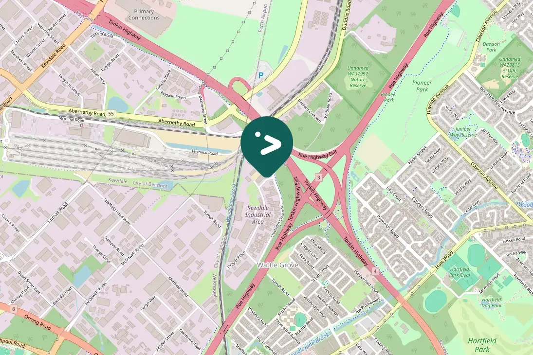 Spotted Crested Pigeon