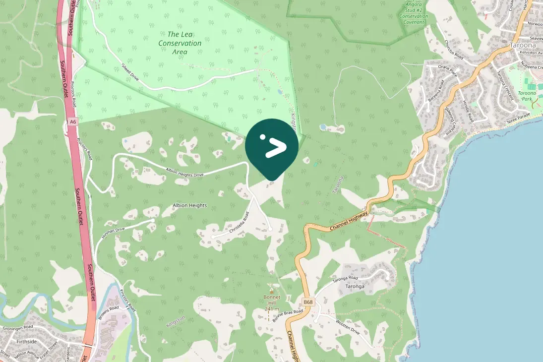 Spotted Laughing Kookaburra