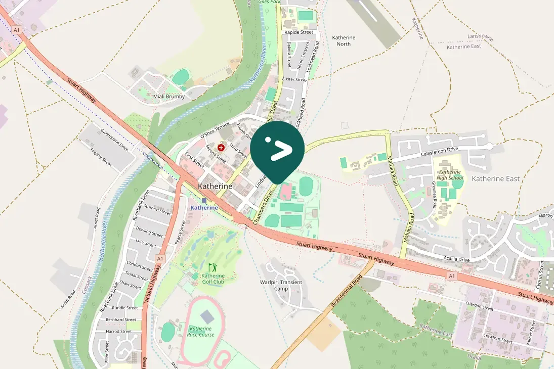 Spotted Pied Butcherbird