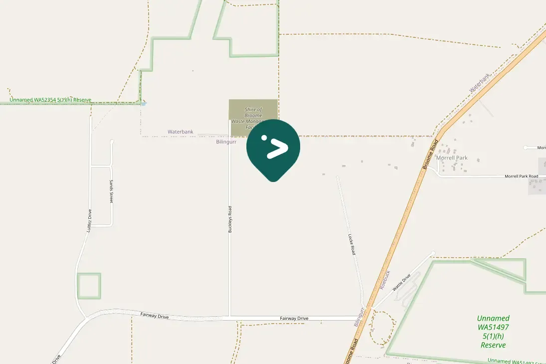 Gespotte Grijze prieelvogel