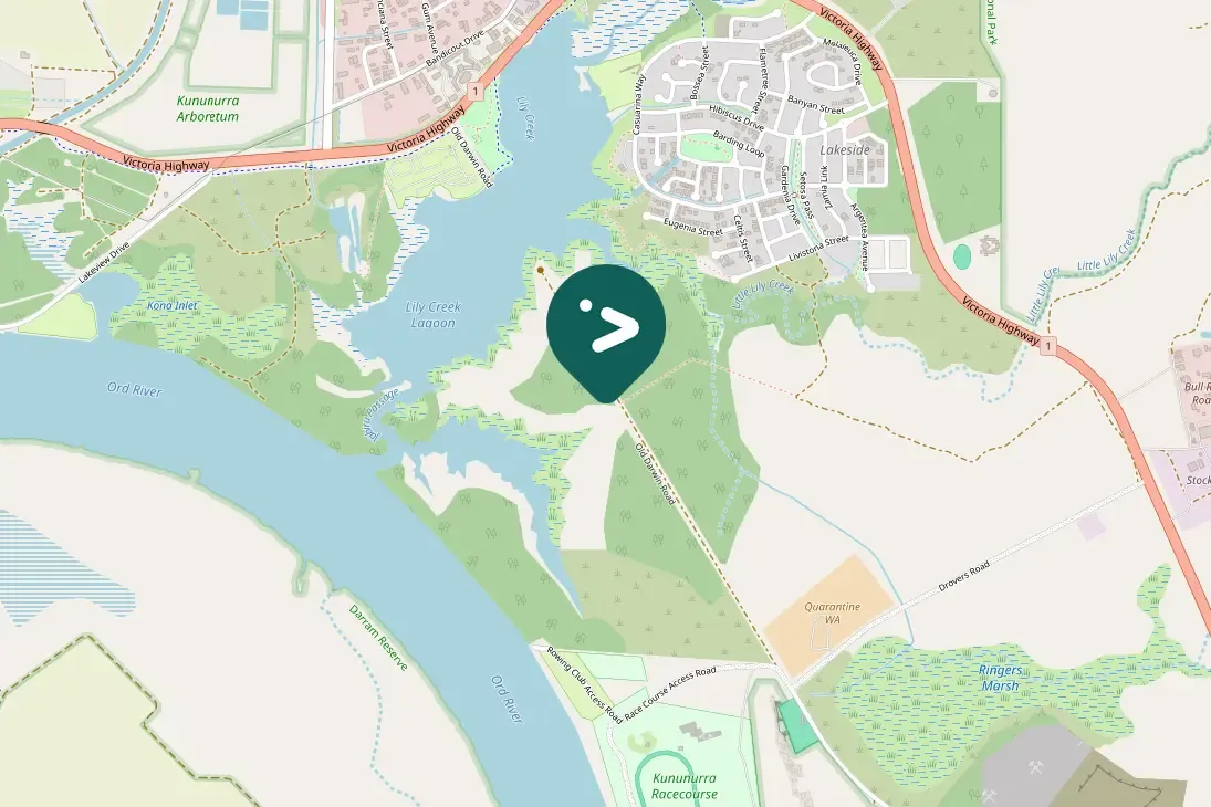 Gespotte Roze kaketoe