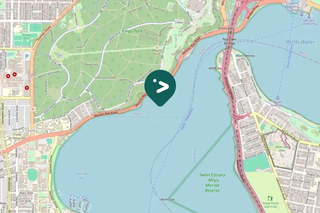 Spotted Willie-wagtail