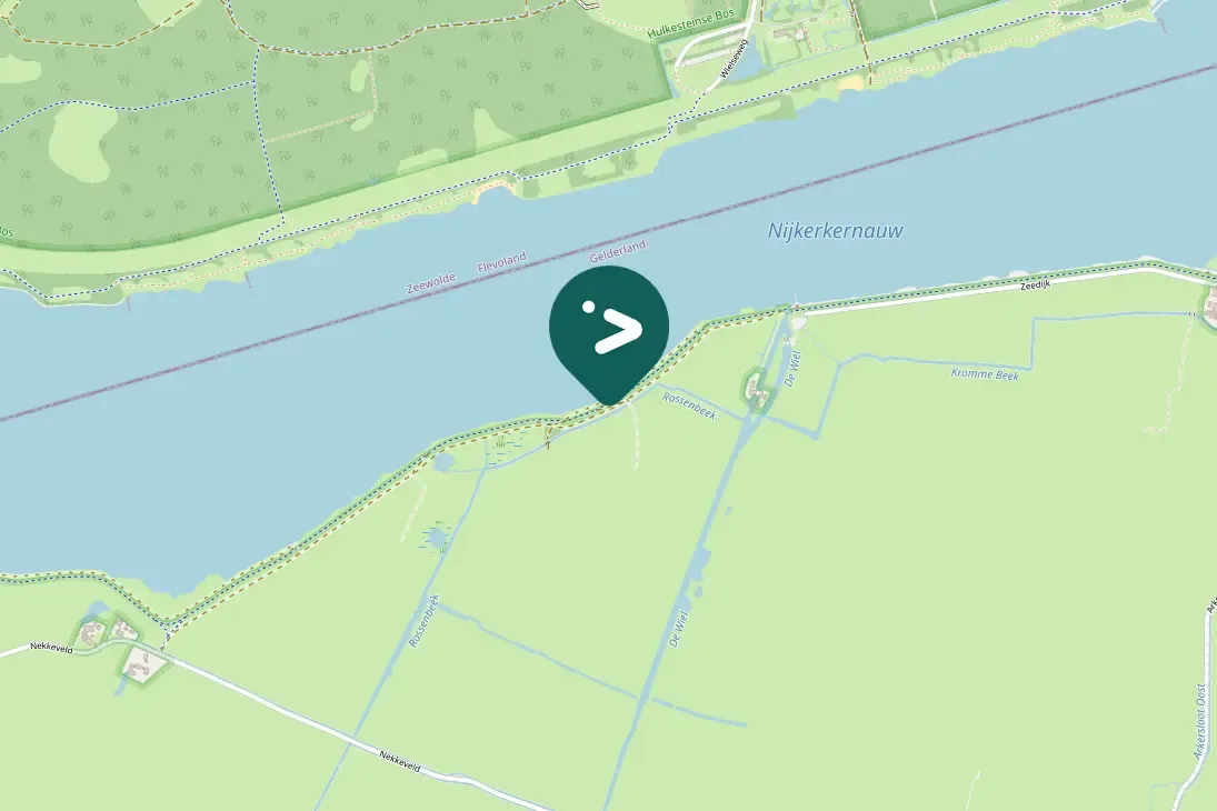 Spotted Common Goldeneye