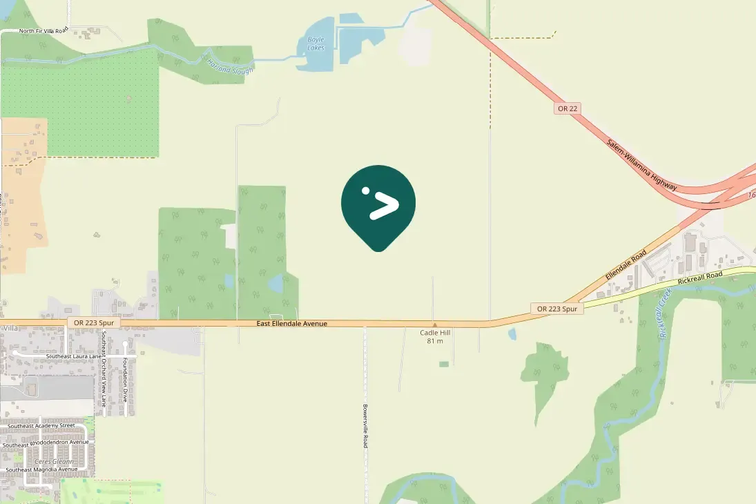 Spotted Great Blue Heron