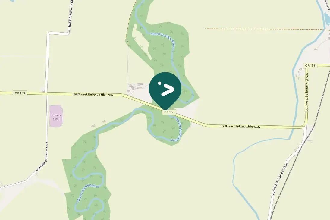 Spotted Red-tailed Hawk