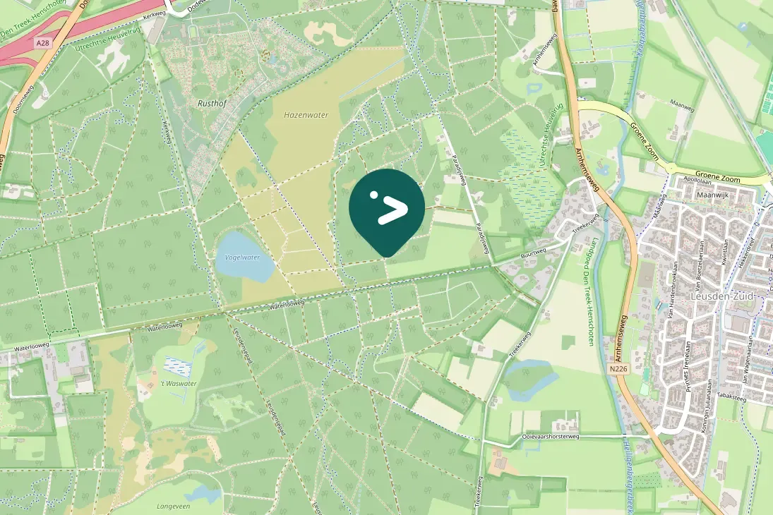 Spotted Eurasian Woodcock