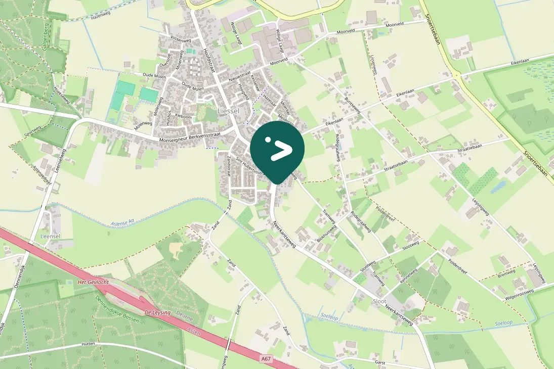 Spotted Common Crane