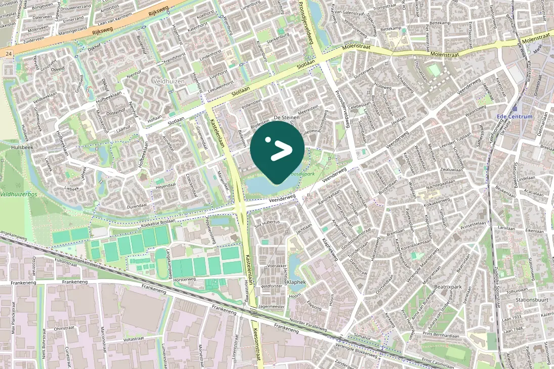 Spotted Muscovy Duck