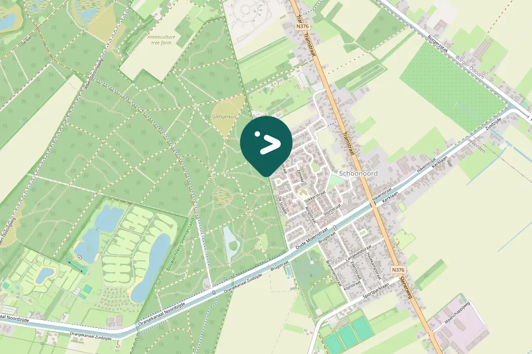 Spotted Whooper Swan