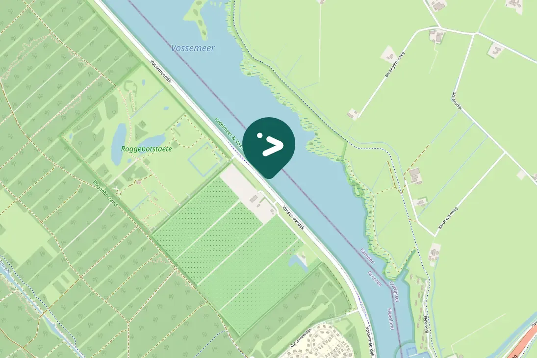 Spotted Black-tailed Godwit