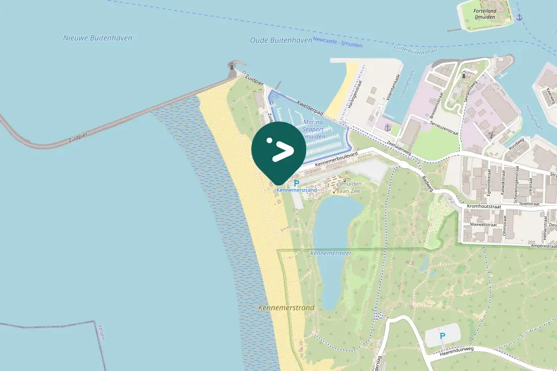 Spotted Great Black-backed Gull