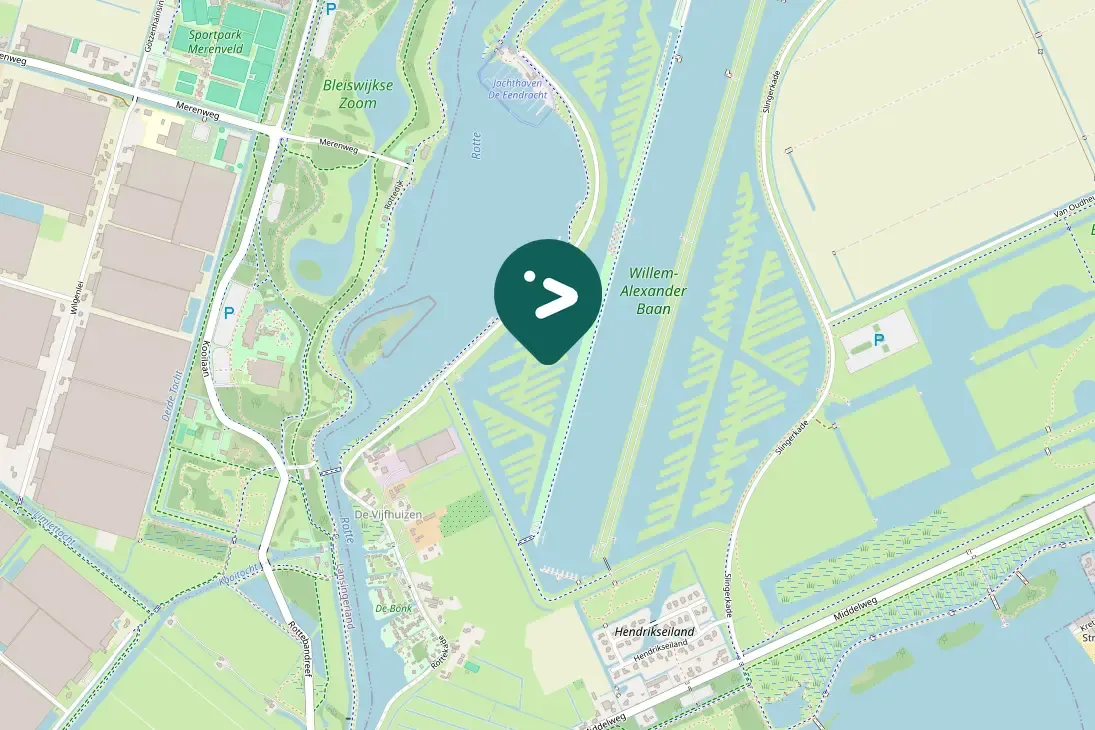 Spotted Black-tailed Godwit